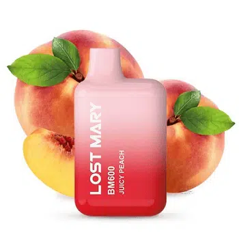 Elf Bar Lost Mary – Juicy Peach – Peach Ice kaufen