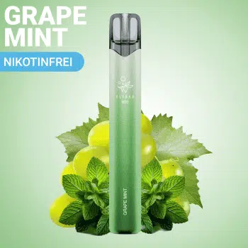 Elf Bar 800 – Grape Mint – NIKOTINFREI kaufen