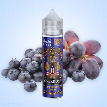 Kapkas Flava x Easy2Vape Longfill – Blueberry Grape kaufen