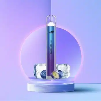 VAPEURS Crystal – Blueberry Ice kaufen