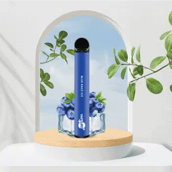 VAPEURS – Blue Razz Ice kaufen