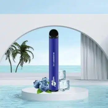 VAPEURS – Blueberry Ice kaufen