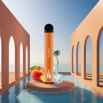 VAPEURS – Peach Ice kaufen