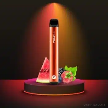 Vuse GO 700 – Berry Watermelon kaufen